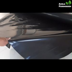 Plastik UV 100 Micron Lebar 4 meter x panjang 37 meter Untuk Kolam/Tambak