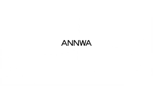 ANNWA 3-in-1 Hot & Cold Pull Down Kitchen Faucet - Blade/Spray/Stream | 360° Rotate 304 Steel + Hot/Cold Hoses/COD(ARROW Group)