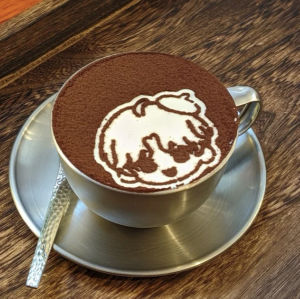 Tiramisu Baking Tool Hollow Pattern Powder Sifting Tool Kitchen Cooking Utensils Pet Material Non-Stick Home Commercial Use