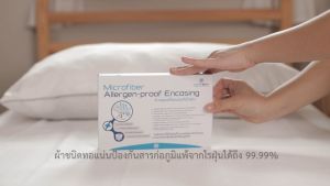 ปลอกหมอนหนุนกันไรฝุ่น ไมเท็กซ์