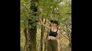 Milwaukee M18 กรรไกรตัดกิ่งไร้สายแบบมืออาชีพไฟฟ้า Pruner แบตเตอรี่ตัดแต่งกิ่งเฉือน 18V กรรไกรสวนต้นไม้ Secateurs เครื่องตัดเฉือน