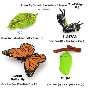 Simulated Large Green Moth Model Toy Solid