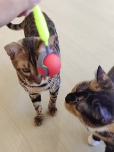 New Speedy Tail 2.0 Cat Toy Speedy Tail Cat Toy Interactive Cat Ball Toy Smart Cat Toys Ball Two Speed Adjustment with Tail