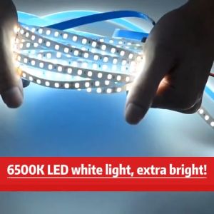 10M LED Strip Light Easy D.I.Y Ready Stock 6500K Linear Dimmable White Light LED High Density Double Side Tape 24V