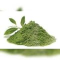 Matcha Powder / Greentea Teh Hijau Bubuk Asli 90gr. 