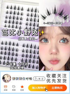 Natural Looking Fake Eyelashes Reusable Dense Small Devil Segmented Style Easy to Use for Beginners Beauty Tools from China
