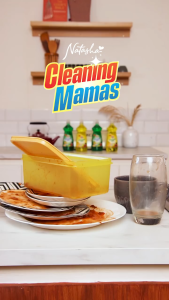 Natasha Cleaning Mamas Antibacterial Dishwashing Liquid 500ML