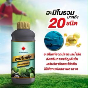 ปุ๋ยน้ำ อะมิโนพืช สำหรับพืชทุกชนิด (ขนาด1 ลิตร) ดวงตะวันเพชร