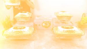 VICENZA Paket Prasmanan lengkap 4 segi + 1 bulat keramik motif gemini / casserole with rack type 680 - 681