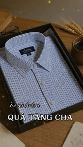 Áo Sơ Mi Nam Công Sở Trung Niên Dài Tay Thương Hiệu Anton Vải Cotton Caro Xanh Trắng AC154