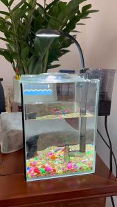 Đèn LED kẹp Bể cá Mini dành cho Hồ cá nhỏ (Có bảo hành)