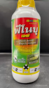 ขายยกลัง ฟีโนบุ เอฟ ขนาด 1 ลิตร ยกลัง 12 ขวด เอสทีม ฟีโนบูคาร์บ+ฟิโพรนิล สูตรเย็น น๊อค+ดูดซึม ผ่าดอกได้ กำจัดหนอน เพลี้ย เพลี้ยไก่แจ้ แมลงปากดูดทุกชนิด ในพืชทุกชนิด npkplant
