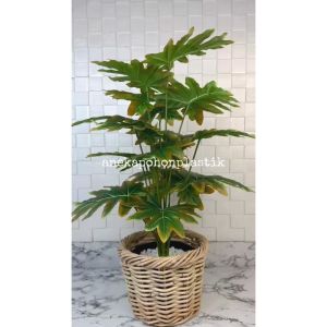 Pohon Artificial Tanaman Daun Monstera Jari Philo Orange X18 Semilatex Cover Keranjang Rotan Bulat Pajangan Sudut Ruang Caffe Aesthetic
