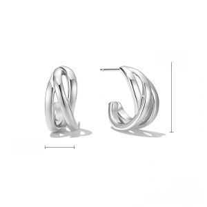 Zabrina Golden Earrings Womens Fashion Jewelry Alloy Plated Gold Metal Ear Studs Luxury Sensation New 2024 Autumn Winter