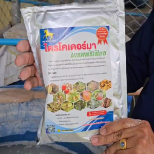 พรีเมียมไตรโคเดอร์มา ป้องกันเชื้อราและโรคพืช 5 in 1 สำหรับสวน 500 กรัม แพ็คคู่