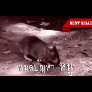 50ปีไม่มีหนู สเปรย์ไล่หนู น้ำยาไล่หนู ยาไล่หนู สารสกัดจากพืช ใช้ได้สำหรับแม่และลูก ไล่หนูในบ้าน สเปรย์ไล่หนูในรถ หนูหายไปแล้ว 450ml ทนทาน180วัน