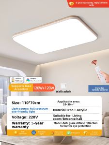 PAIMIJI | Modern Simple Large Size Room Lighting Ceiling Lamp Eye Protection