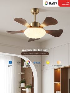 SUOYAN | Retro Silent Eye-protection Fan Light