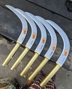 EGREK SAWIT SPP 777 PAKAI TAJI