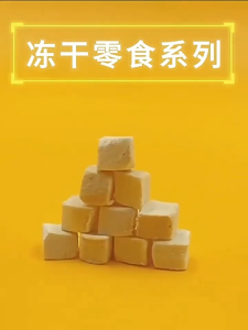 （SG STOCK )FREEZE DRIED TREATS (CHICKEN DUCK SALMON GRASS) FOR CATS & DOGS Freeze Dried Chicken Breast