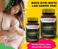 STAMINOFIT OBAT HERBAL STAMINA PRIA DAN EJAKULASI DINI. 