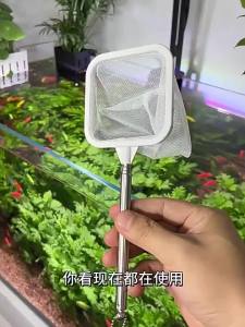 Lưới Đánh Cá Bằng Thép Không Gỉ Cho Bể Cá Và Bể Cá Cảnh - Phụ Kiện Bắt Cá Nhỏ Bền Chắc Có Thể Thu Vào
