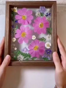 Wood Picture Frames Double Sided Glass Plant Specimen Frame for DIY Pressed Flowers Dried Leaf Display Table Art Decoration