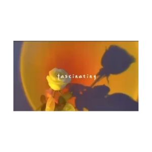 ✅100% Original Yoky 8 In 1 Colors Sunset Lamp Projector LED Rainbow Atmosphere USB Table Projection Lamp Night