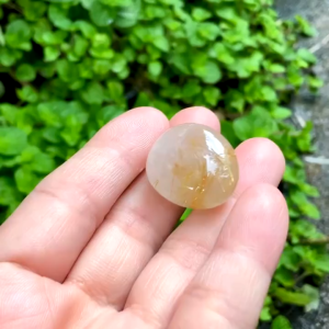 KJ578 พลอยร่วงไหมทอง 61.46 กะรัต Natural Golden Rutilated Quartz