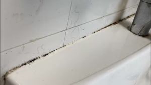 SG Fast Delivery Mold remover Mildew Remover 120g Miracle Mold Mould Mildew Removal