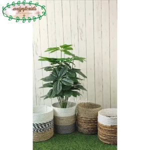 Pohon Hias Artificial Daun Anubias X18 Semilatex Cover Seagrass Hiasan Ruang Tamu Aesthetic