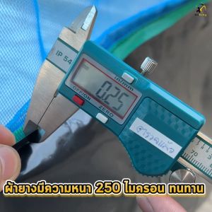 กระชังบก กระชังเลี้ยงกบ ปลา หอย สัตว์น้ำทุกชนิด สูง 1.2 เมตร ยกขอบ 30 ซม. ผ้าใบหนา 250 ไมครอนคุณภาพดี มีหูยึดพร้อมใช้งาน