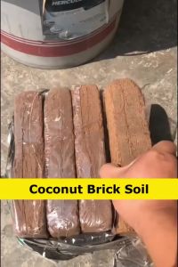 650g Natural Cocopeat Block Cocopeat Brick Coconut Peat Coconut Brick Soil For Plants And Crops
