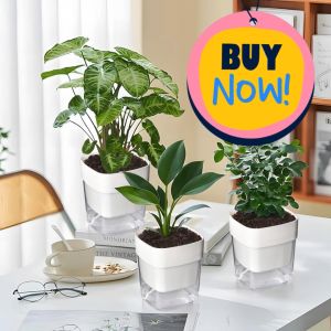 [SG Seller] Smart  Square Self Watering Flower and Plant Pot / Plastic Pot / Automatic absorption Water Pot / Balcony Planting