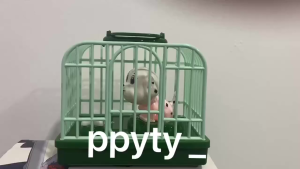 ของเล่นจำลองสัตว์เลี้ยงมีไฟมีเสียง น่ารักดี ขนาด 12x8x13cm บรรจุภัณฑ์ 12.8x8.5x11.5cm