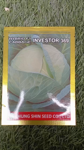 Benih Kubis Kol Investor 369 10 Gram