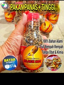 Pakan Jahat Pakan Panas Pakan Tinggi Pendongkrak Burung Gacor Paud