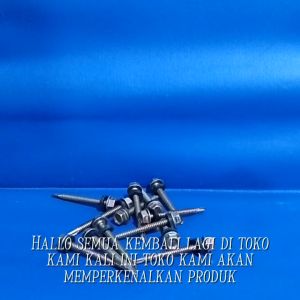 Baut Roofing Baja Ringan untuk Atap Rufing Roping 12mm x 60 (1 Kotak)