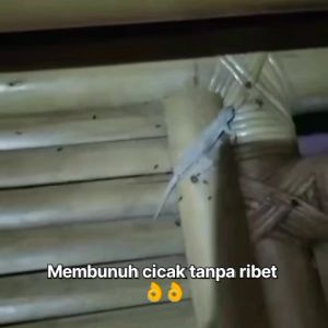 spray pembasmi pembunuh cucak cicak super ampuh gratis ongkir