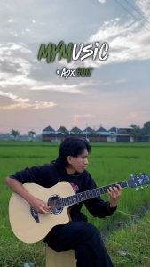 Gitar Apx Custom Akustik Elektrik STANDAR Equalizer 7545R