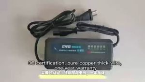 【24 hours shipping】 Intelligent Ebike Charger 48V 12AH 48V 20AH For Battery Battery Charger Universal Battery Charger Intelligent Charger Electric Bicycle