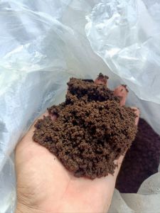 Túi 2kg Phân Trùn Quế Trọng Ân ( 99% Phân Trùn  1% Hợp Chất HuMic và TriCo )