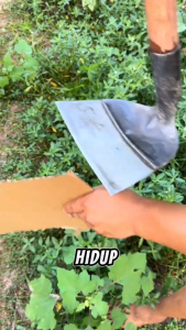 Cangkul Gulma Kepala Baja Taman Cangkul Pertanian Garuk Gulma Berkebun