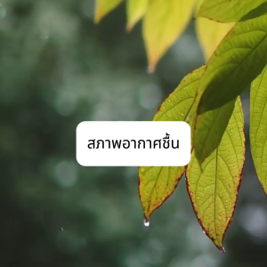 【รับประกัน 5 ป】เครื่องอบผ้า 1200W เสียงเบา การอบแห้งด้วยอุณหภูมิคงที่ 85°C เสื้อผ้าแห้งเร็ว ลดกลิ่นอับ ฆ่าเชื้อราแบคทีเรีย จัดเก็บสะดวก เครื่องอบผ้าพกพา Clothes Dryer