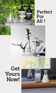 Conical Flask แจกันหลอดทดลองทรงโคน | ขวด แจกัน หลอด แก้ว ใส ตวง วัด ปริมาณ ทดลอง เครื่อง ดื่ม โคน กาแฟ ค็อกเทล