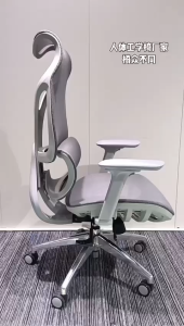 Ergoseat ECHO Ergonomic Office Chair + Lumbar Support Height Adjustment + Sliding Seat