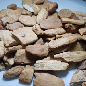 6573-MỘT CỤC GỖ HÓA THẠCH THÔNG ĐÈN ( Thiên nhiên) sưu tầm