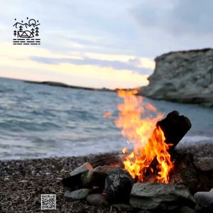 FIREMAPLE FMS-300T Ultra Light Titanium Outdoor Stove