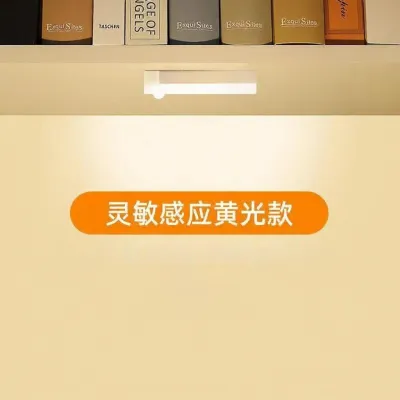 Đèn Cảm Biến Động Tự Động cho Hành Lang Lối Vào Không Cần Dây