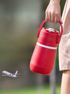 Royalty Line | Portable Heating and Insulating Electric Water Bottle 600ml